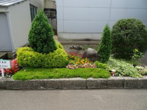 第１位　管理本部の手がけた花壇