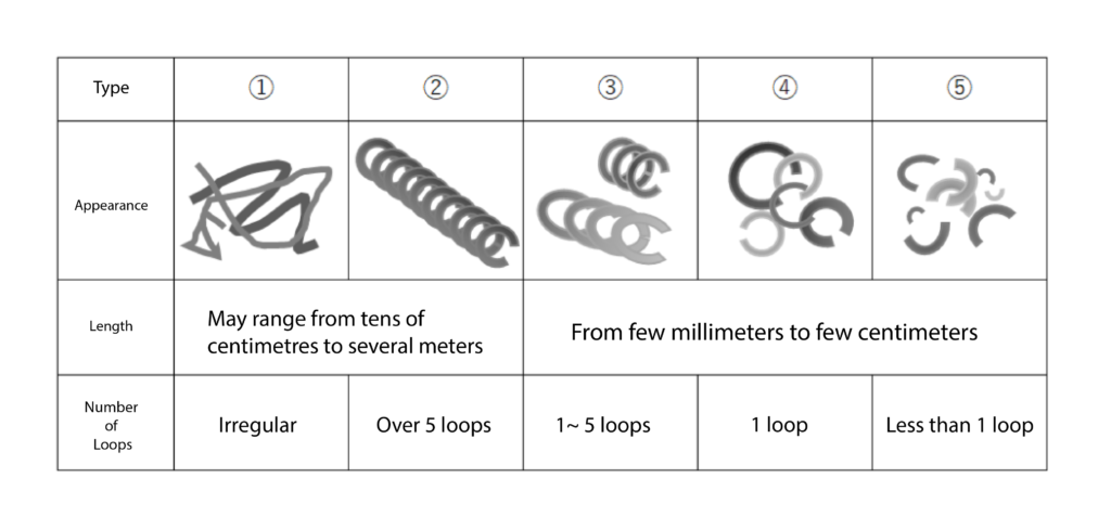 Chips coils Length